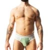 Evolve Classic Brief