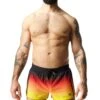 Sunset Swim Trunk